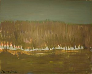 Vaste paysage marécageux - Joackim Schou Dahle