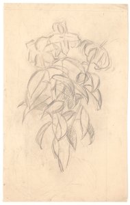 Étude de fleurs - Joakim Frederik Skovgaard