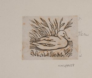 Un canard