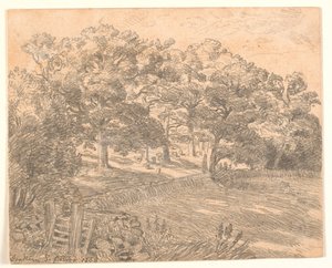 Une lisière de forêt