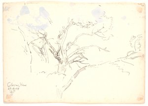 Études de branches. Jardin de Classen - Joakim Frederik Skovgaard