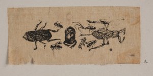 Insecte - Joakim Frederik Skovgaard