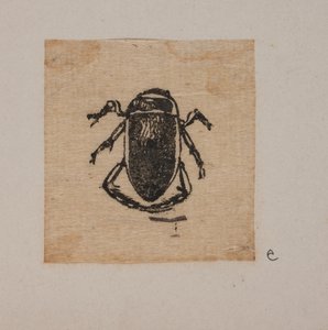 Insecte - Joakim Frederik Skovgaard