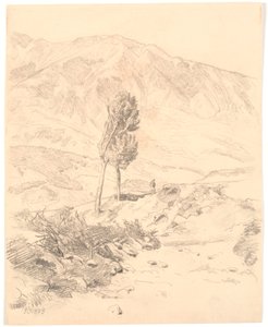 Paysage montagneux italien avec deux arbres