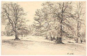 Terrain légèrement incliné avec de grands arbres dispersés - Joakim Frederik Skovgaard