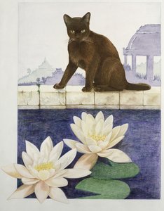 Birman - Joan Freestone