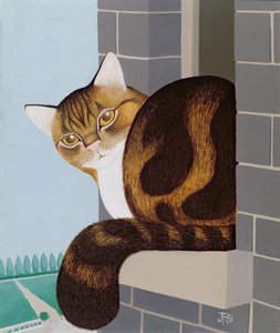 Chat sur un rebord de fenêtre