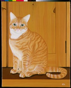 Chat marmelade près d