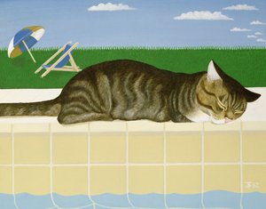 Chat tigré près d
