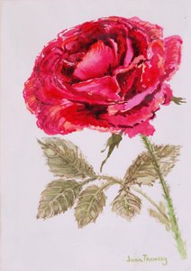 Une rose rouge, 2000 - Joan Thewsey