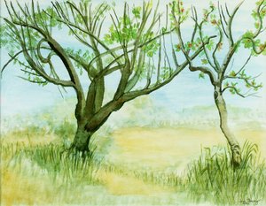 Paysage de début de printemps, avec deux arbres