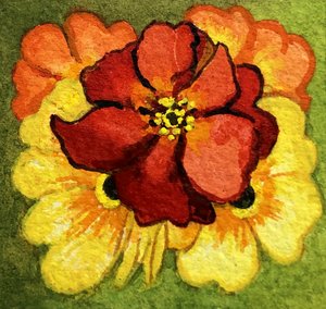 Cinq primevères, rouges, jaunes et oranges - Joan Thewsey