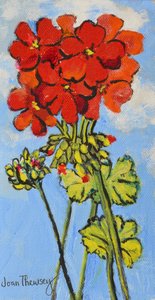 Branche de géranium, 2017 - Joan Thewsey