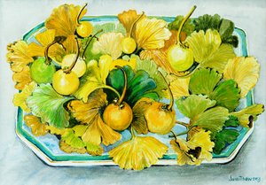 Ginkgo, fruits et feuilles - Joan Thewsey