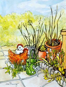 Poules et pots, Lucy Redman Open Garden