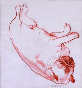 Hogarth dormant, 2005 - Joan Thewsey