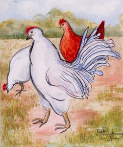 Ralphy, le coq