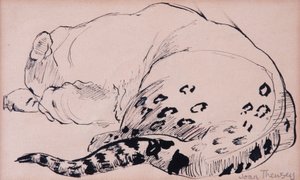 Croquis, léopard, zoo de Londres - Joan Thewsey