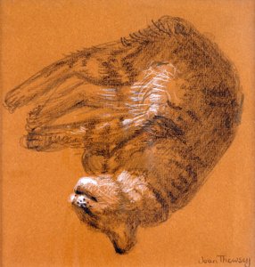 Chat tigré dormant - Joan Thewsey