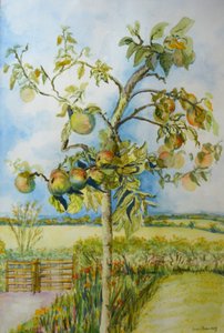 Le pommier - Joan Thewsey