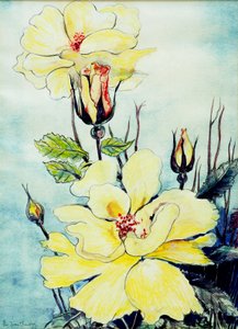 Rose jaune dans une brise du Suffolk - Joan Thewsey