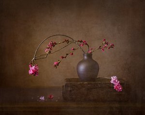 Nature morte aux fleurs de cerisier - Joanna W