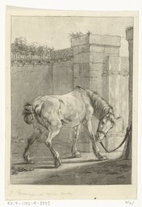 Un cheval attaché à un poteau