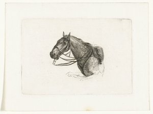Tête de cheval vers la gauche - Joannes Bemme
