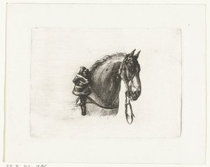 Tête de cheval vers la droite - Joannes Bemme