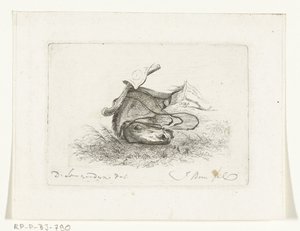 Tête de cheval couché - Joannes Bemme