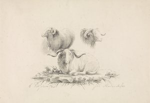 Études d