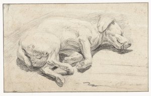 Chien couché, dormant
