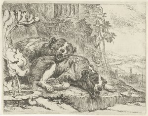 Deux chiens couchés - Joannes Fijt
