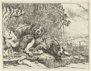 Deux chiens couchés - Joannes Fijt