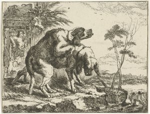 Deux chiens s