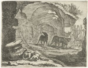 Quatre chiens près d