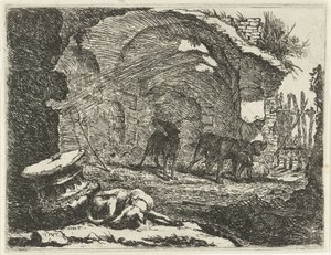 Quatre chiens près d
