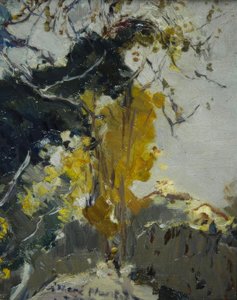 Arbre - Joaquim Mir i Trinxet