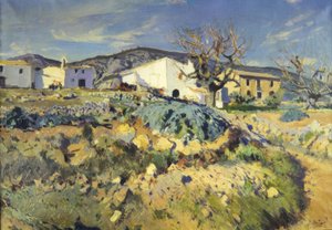 La malice de Magí - Joaquim Mir i Trinxet