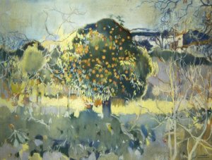 Paysage