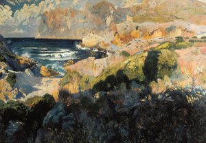 Crique de Sant Vicenç - Joaquin Mir Trinxet