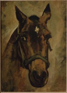 Tête de cheval