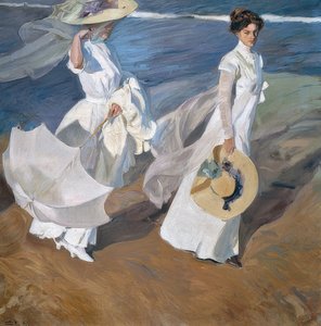 Promenade le long de la côte