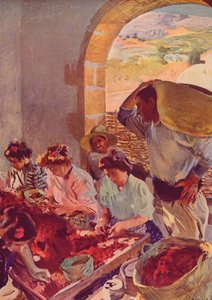 La Préparation des raisins secs, 1890, vers 1932
