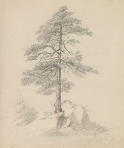 Pins et falaises - Johan Christian Dahl