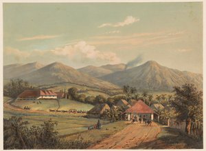 Vue de la route entre Buitenzorg et Preanger (La grande route de Buitenzorg aux régences de Preanger) - Johan Conrad Greive