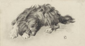 Chien endormi