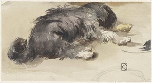 Chien endormi, vu de dos