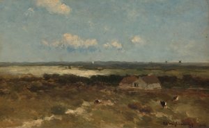 Paysage de dunes