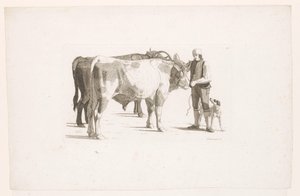 Homme et un chien à côté de deux bœufs avec un joug - Johan Jakob Biedermann